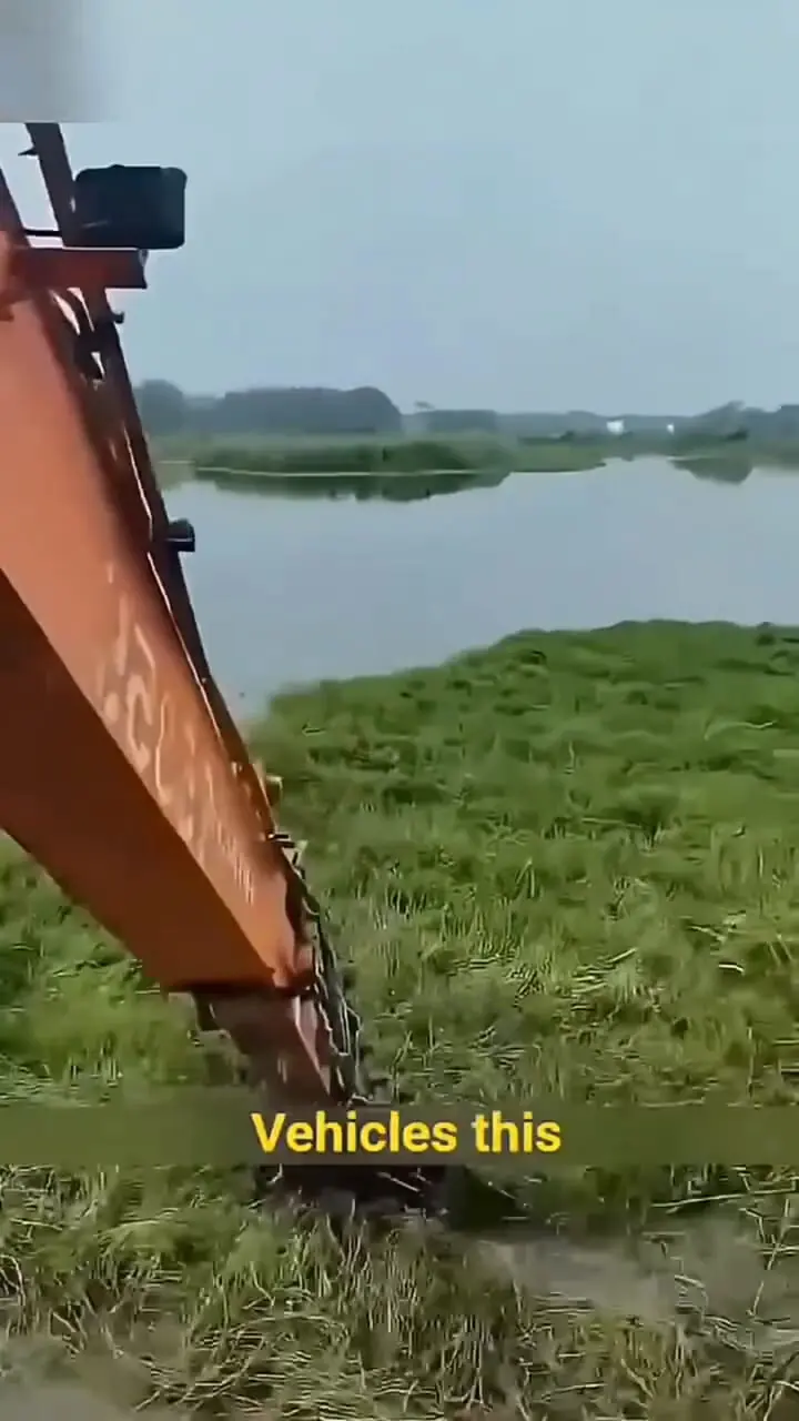 فیلم راه‌حل خلاقانه چین برای علف های مزاحم