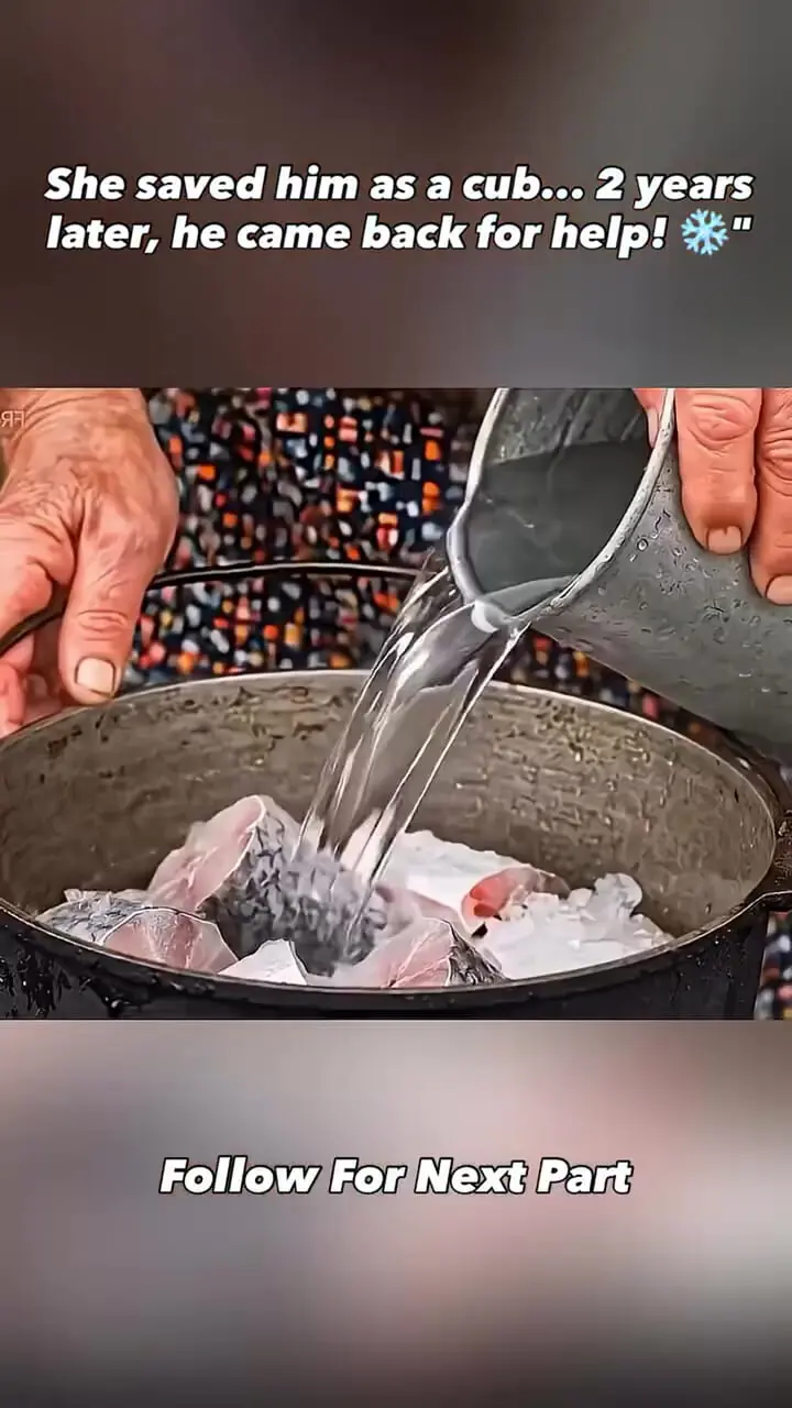 فیلم وفاداری باورنکردنی ببر به انسان