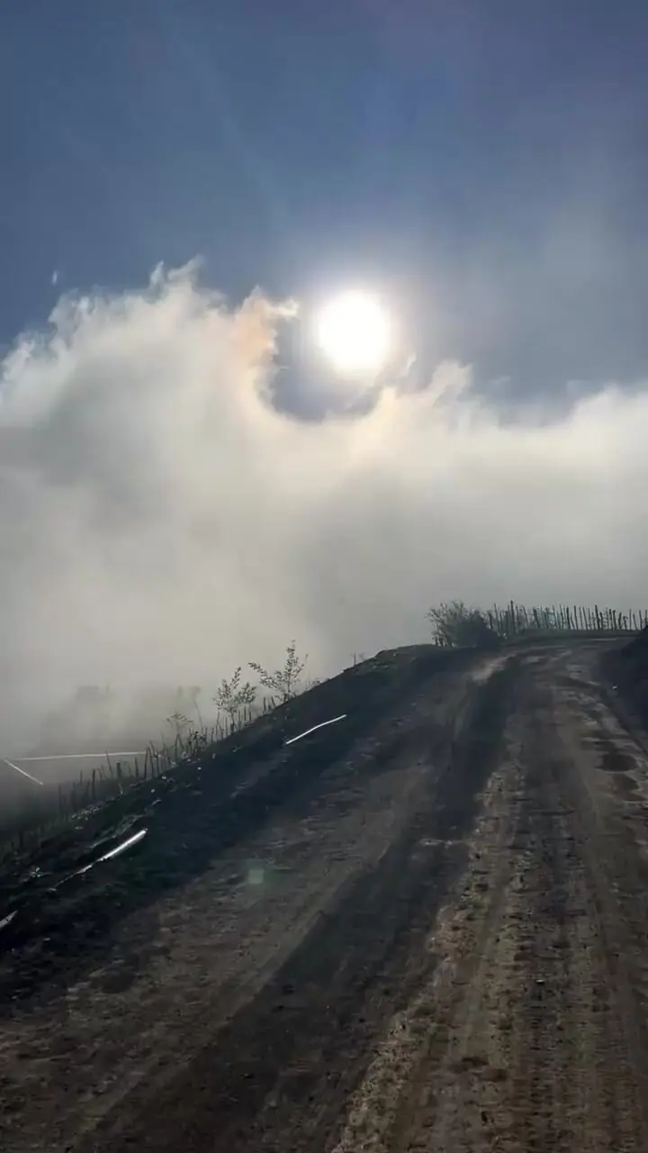 فیلم ییلاق شاه رسول تالش