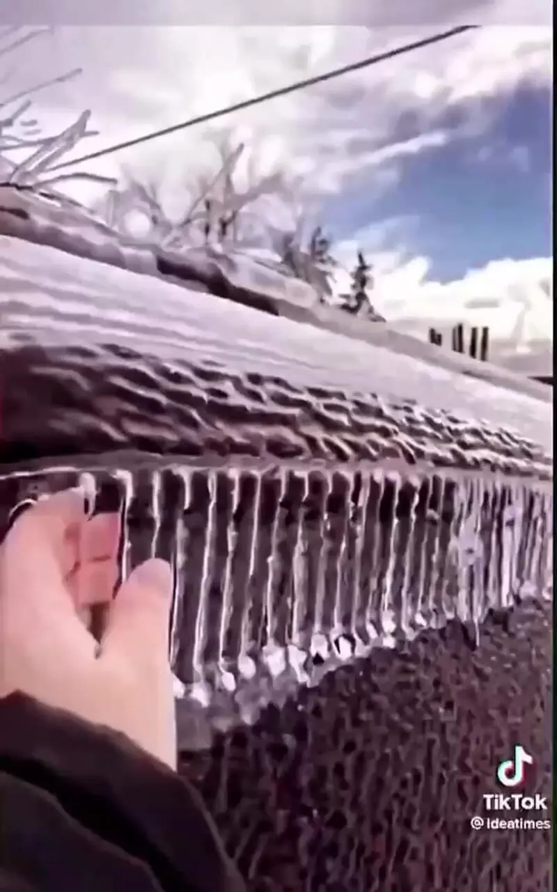 فیلم یخبندان واقعی به روایت تصویر