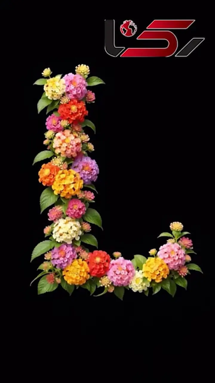 حروف انگلیسی با دیزاین گل 