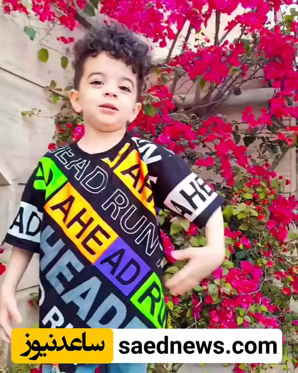 فیلم / نگاهی به چیدمان خانه مجلل مهدیار کلائی سالارِ  سریال«پایتخت» / از مبلمان شاهانه و مدرن تا حیاط شبیه حیاط کاخ نیاوران