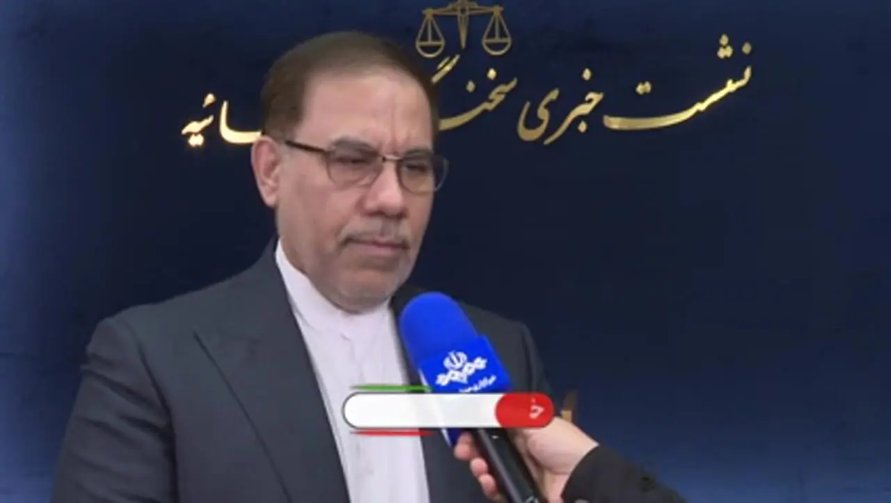 توضیحات سخنگوی قوه قضائیه در خصوص پرونده ساعدی نیا / صرف عذرخواهی پرونده مختومه نمی شود