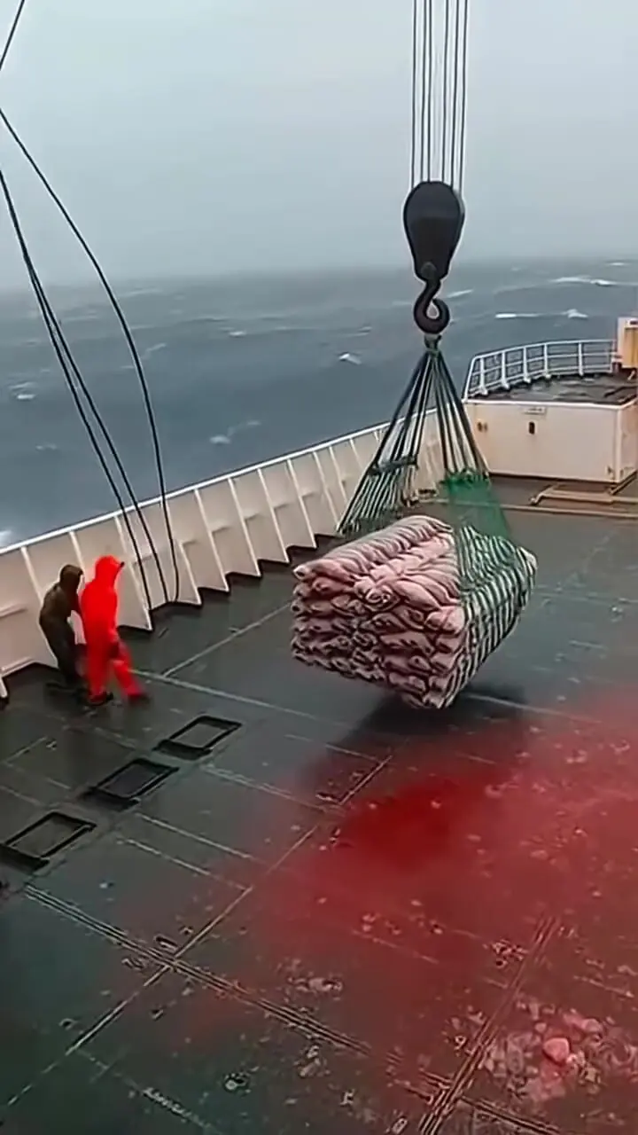 فیلم سقوط هزاران کیلو فولاد در اقیانوس