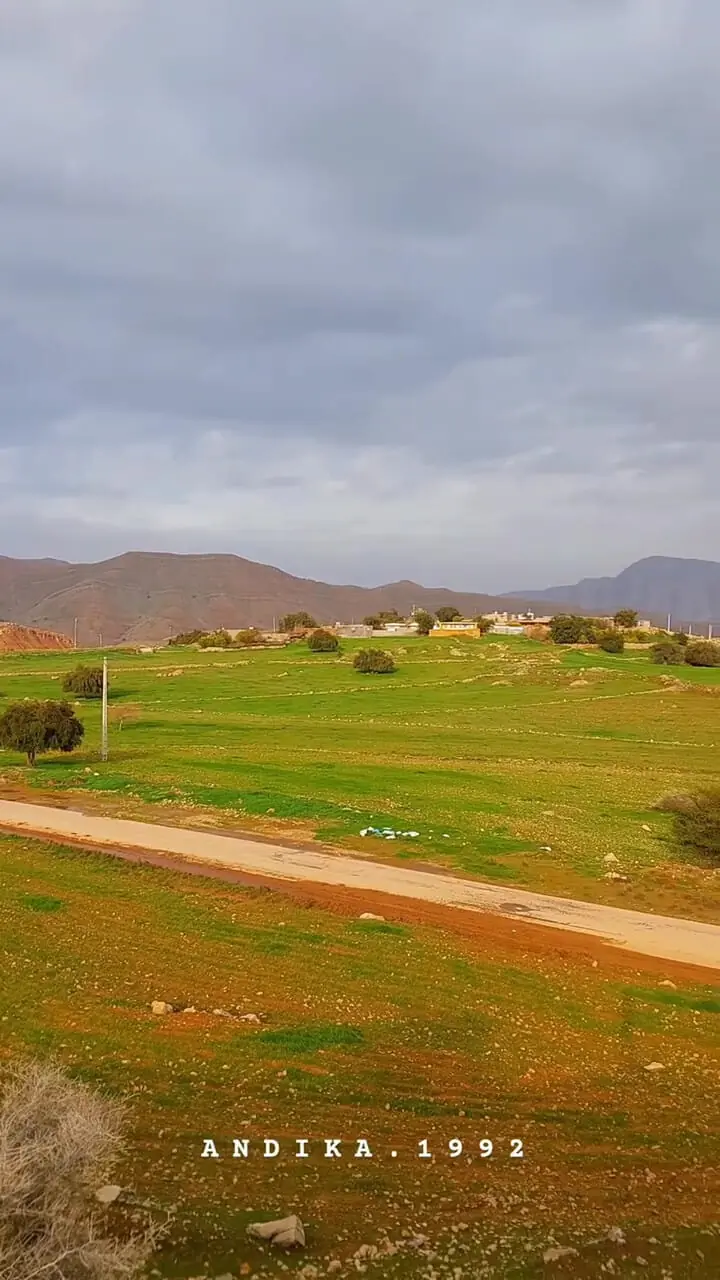 فیلم آرامش دلنشین در طبیعت اندیکا