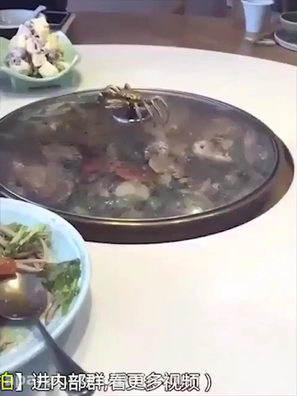 فیلم پخت و خوردن حشرات و خزندگان زنده در رستوران های چین