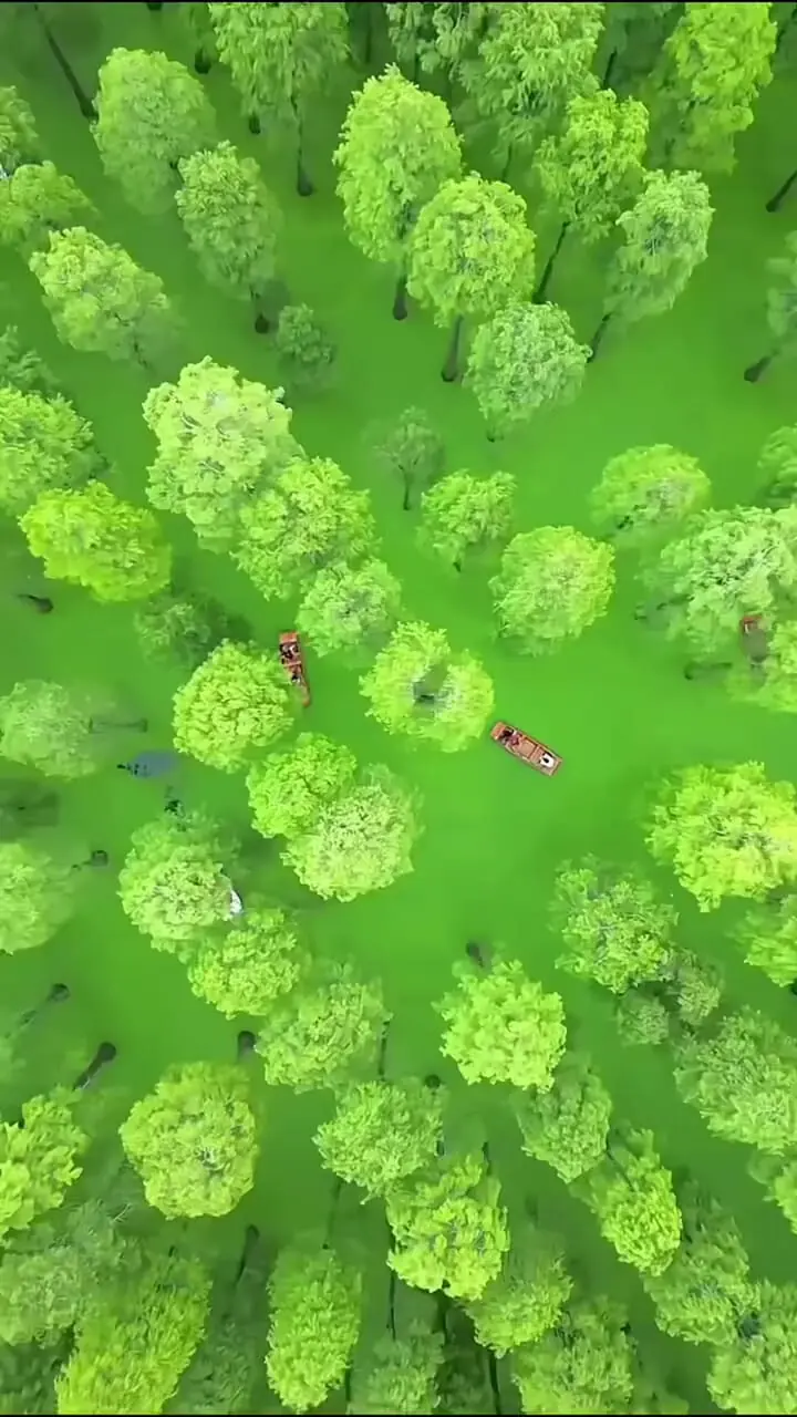 دریاچه ماتچا شگفت‌انگیزترین جاذبه طبیعی استان گویژو چین