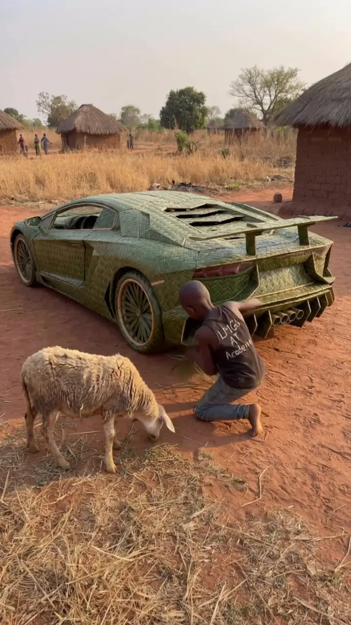 فیلم ساخت لامبورگینی با برگ های نارگیل