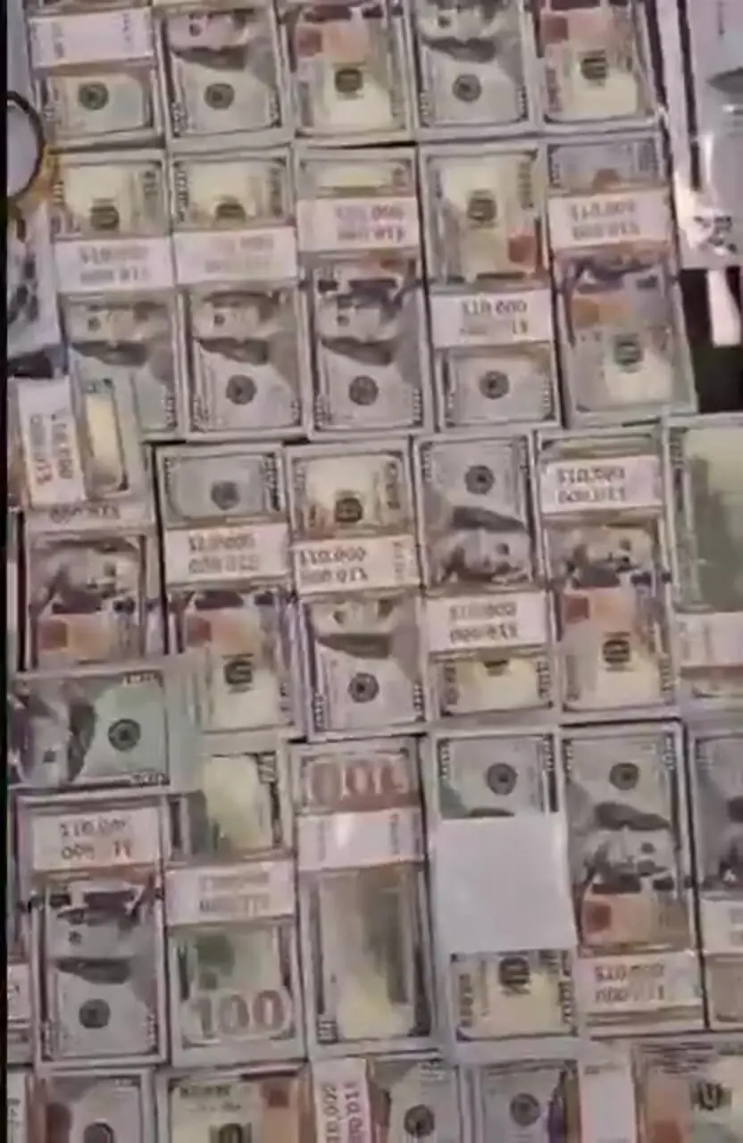 فیلم/ پایان فعالیت توزیع کننده حرفه ای دلار تقلبی در تهران