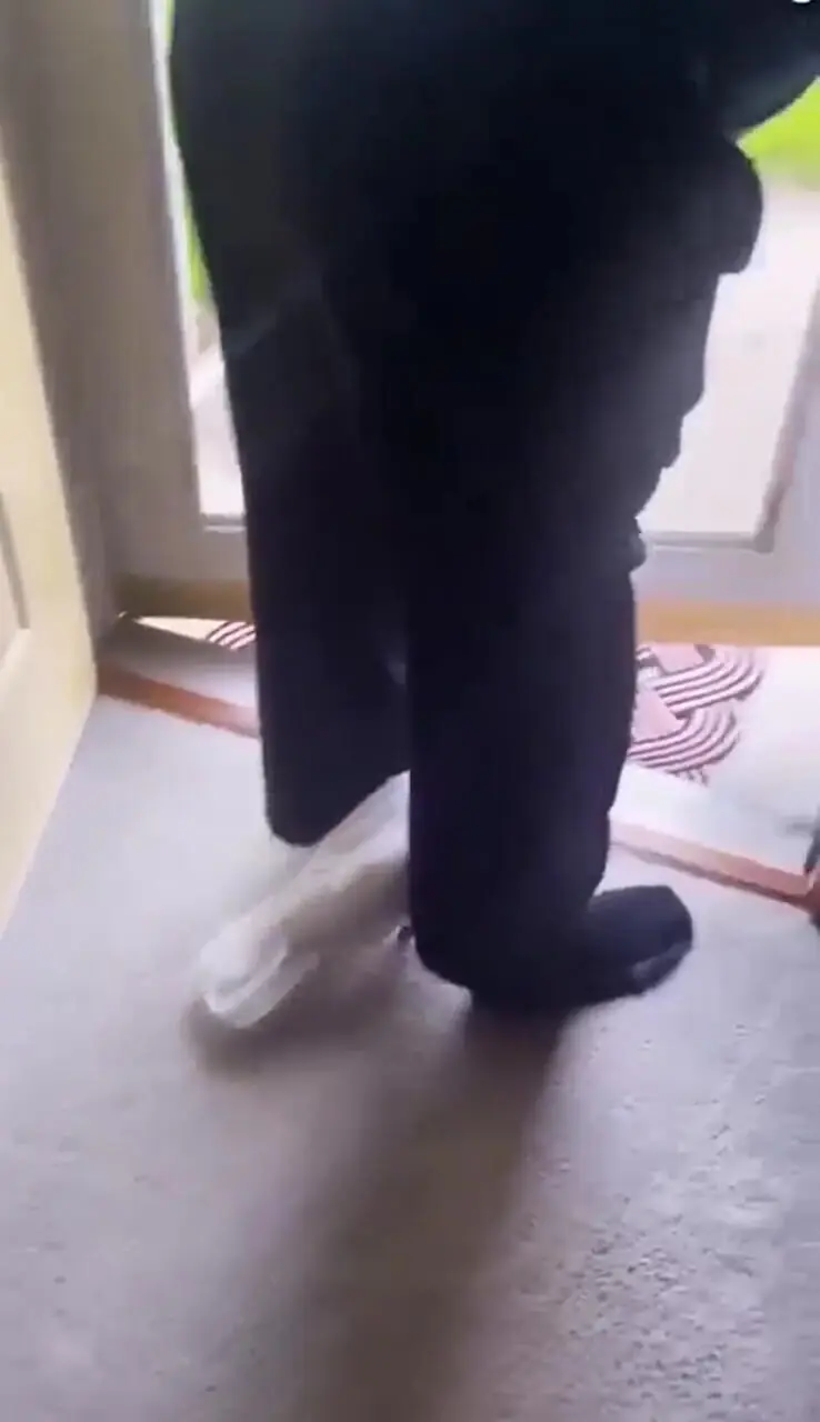 فیلم طوطی کاکادو که مثل سگ نگهبانی می دهد