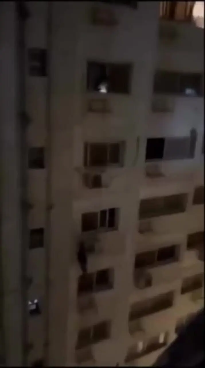 فیلم سرقت ناکام در مصر / فرار دیدنی سارق از برج