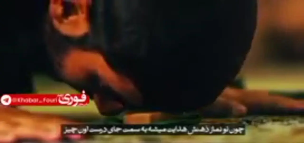 فیلم / صدای آیت الله سید مجتبی حسینی خامنه‌ای فرزند رهبر شهید انقلاب اسلامی ایران