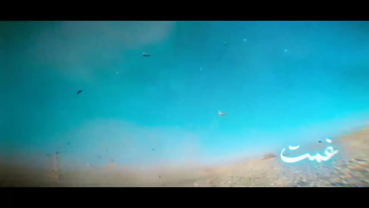 انتشار نماهنگ جدید رضا صادقی به نام خدا، مادر، وطن