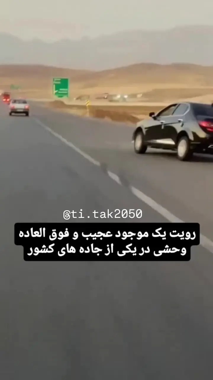 فیلم تعقیب و گریز پلیسی در جاده / حرکات نمایشی و دیوانه وار راننده سواری 