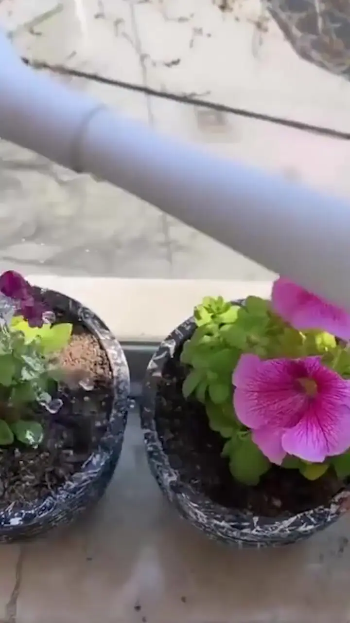 چیدمان مینیمال خانه پر از عشق و باصفای بهنوش طباطبایی، بازیگر سریال سووشون/ خوش سلیقه‌تر از ایشون مگه داریم