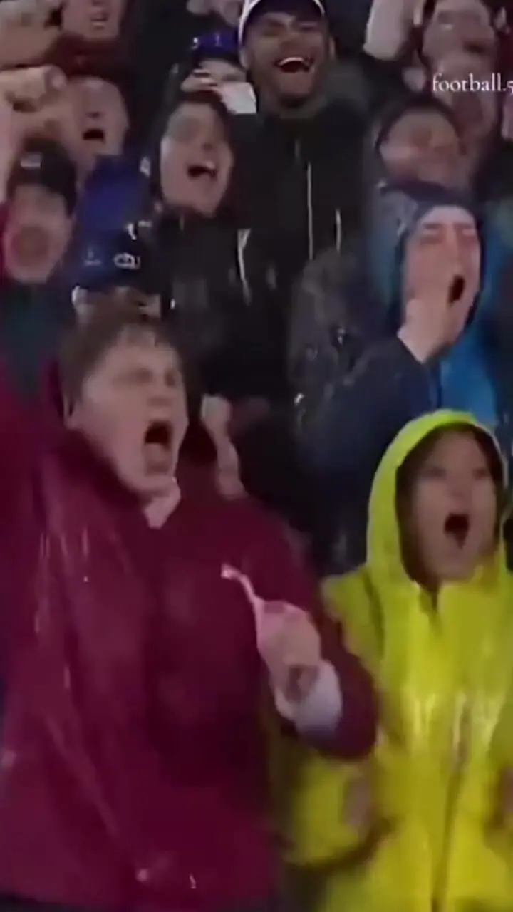 وقتی گربه‌ها وارد زمین فوتبال می‌شوند! / شادی بعد از گل با هوش مصنوعی 