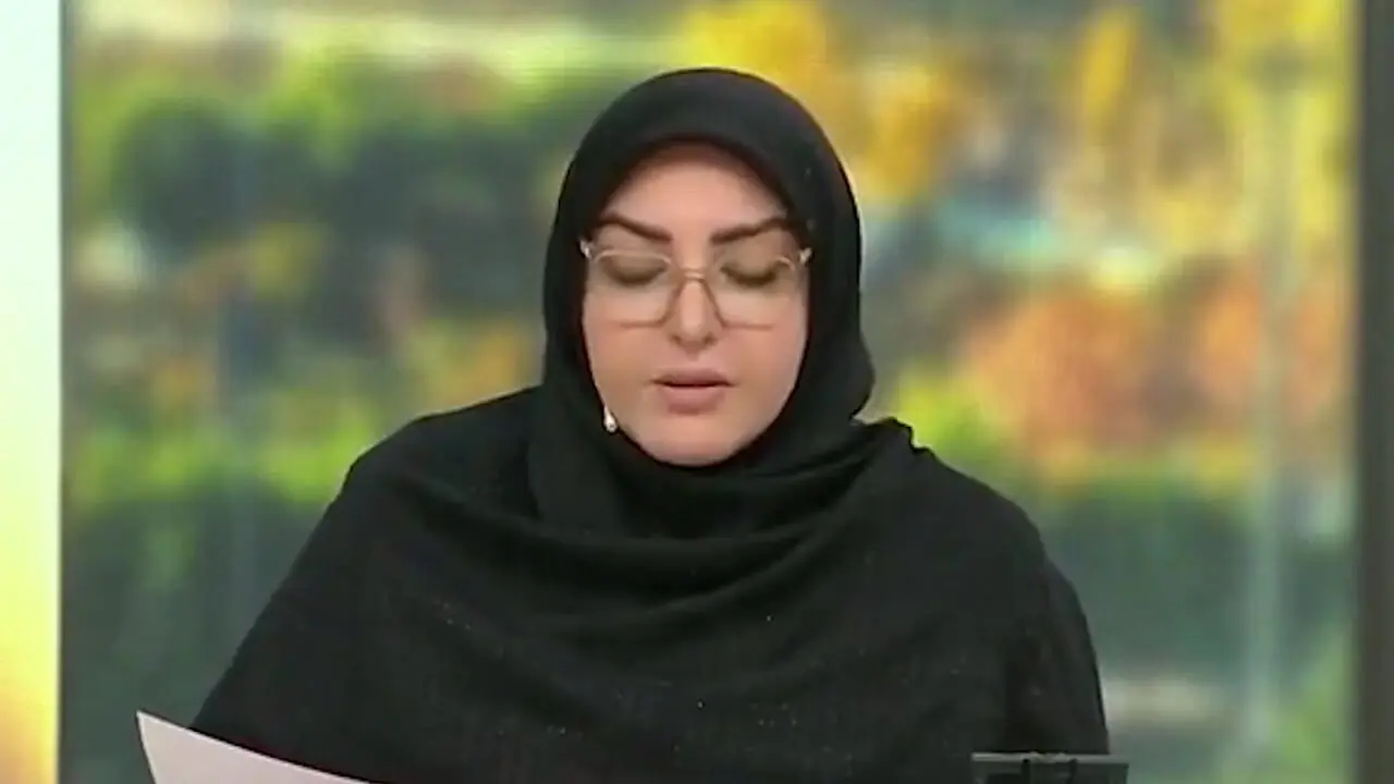 فیلم / المیرا شریفی‌مقدم و سوژه کردن گرانی ها: با این قیمت های بلیت سینما باید بهمون شام هم بِدَن!