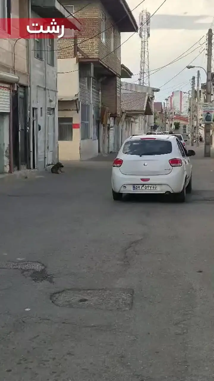 فیلم / رشتِ توریستی درگیر چاله های خیابان؛ صدای اعتراض شهروندان را کسی نمی شنود / جلوبندی خودروها قربانی آسفالت بی کیفیت شهر می شود