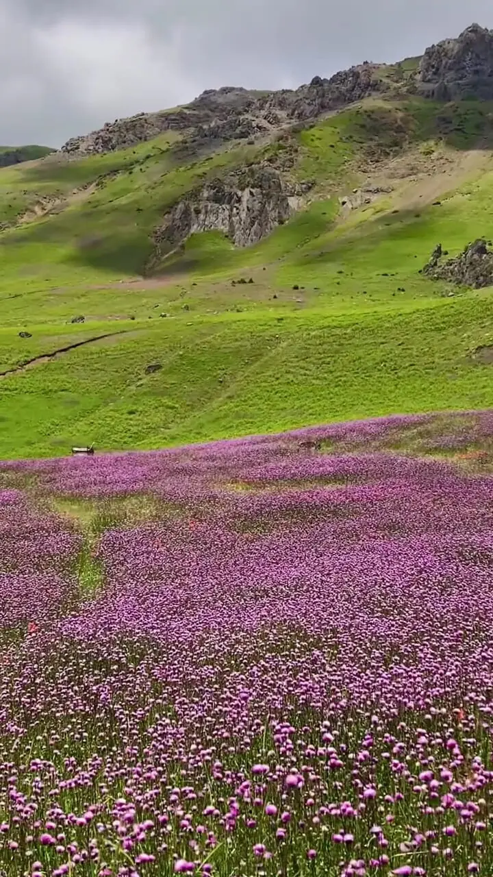 زیبایی واقعی تالش از نزدیک + فیلم