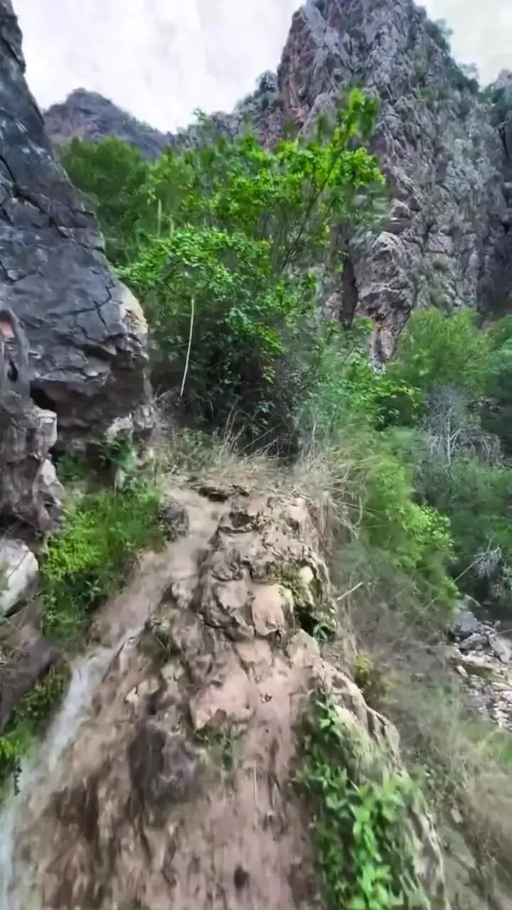 فیلم از زیبایی شهرستان نورآباد ممسنی