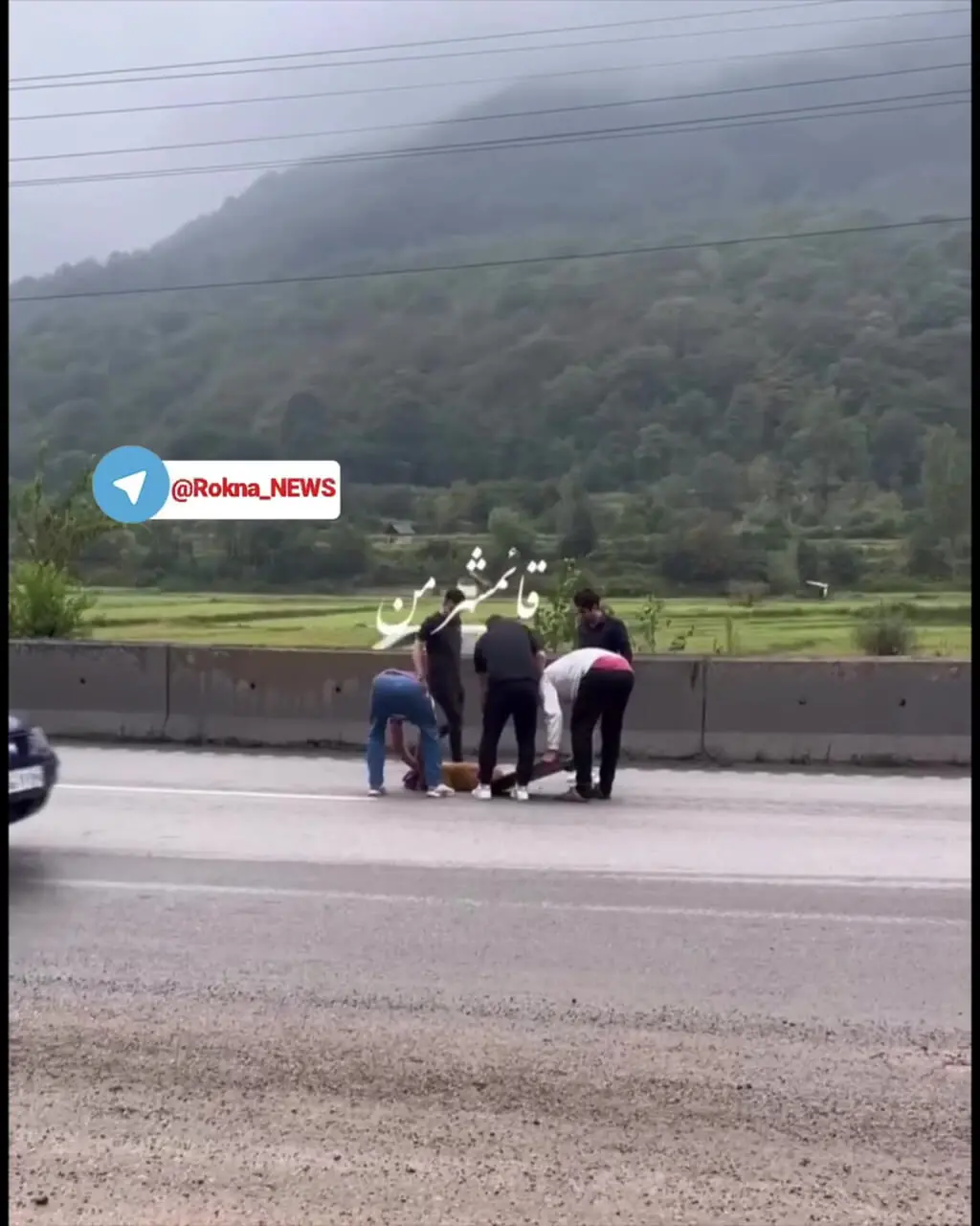 فیلم لحظه نجات یک سگ زخمی از مرگ در جاده های سوادکوه