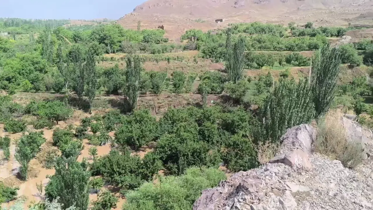 ورود سیلاب به باغات و مزارع روستای طرق شهرستان کوهسرخ کاشمر