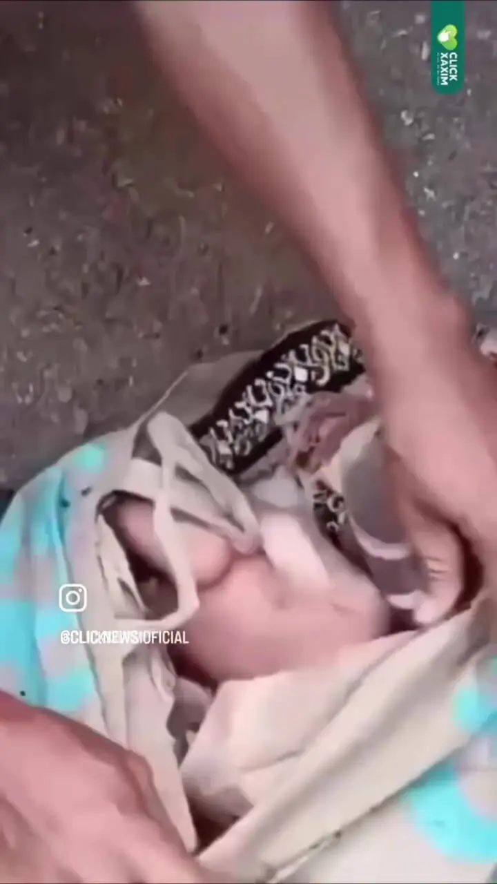 فیلم / نوزاد زنده در کیسه زباله پیدا شد؛ سرعت عمل کارگر شهرداری جان نوزاد را نجات داد