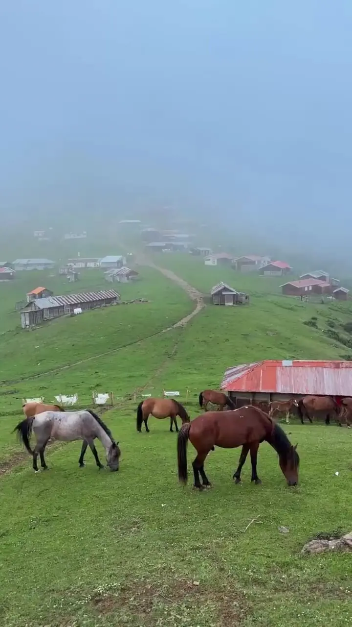 زیبایی ییلاق سوئه چاله ماسال