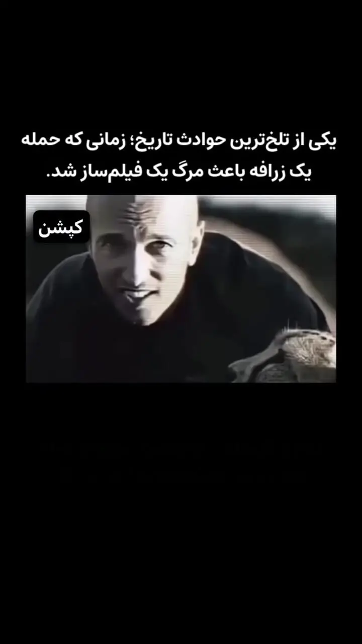 فیلم لحظه مرگ یک مرد با ضربه سر زرافه وحشی / رفته بود ازش فیلمبرداری کند