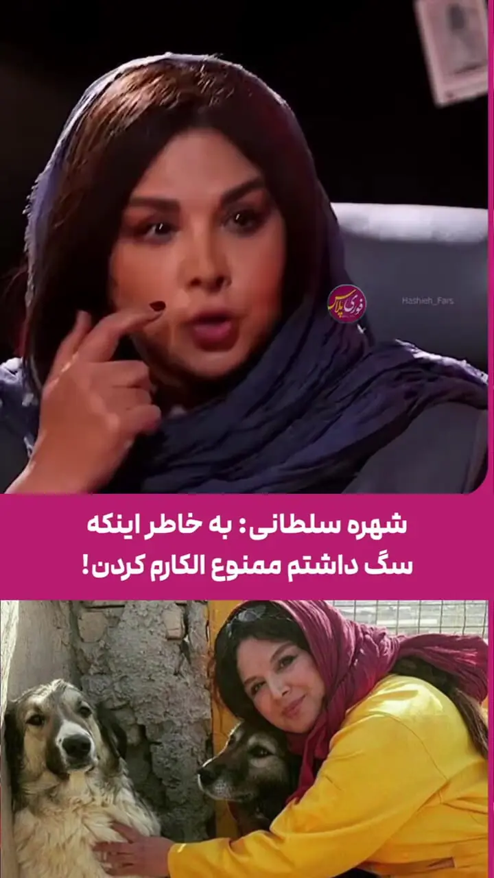 فیلم/ شهره سلطانی: به خاطر داشتن سگ دوبار ممنوع الکارم کردن