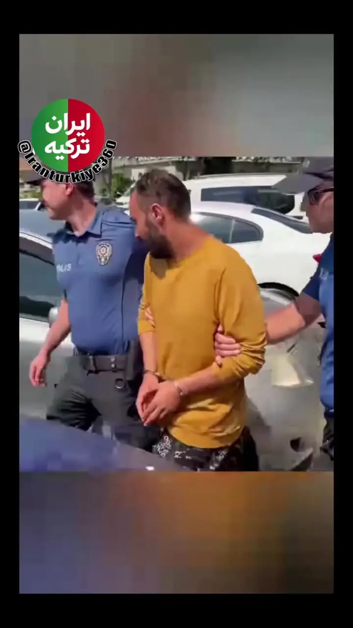 فیلم لحظه بازداشت جوانی که به یک گربه لگد زده بود/ در ترکیه رخ داد