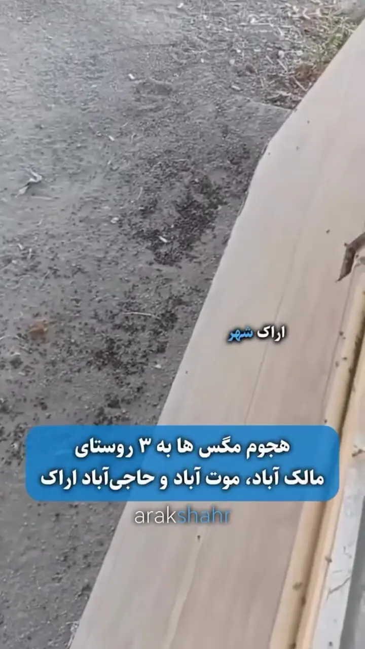 فیلم هجوم عجیب مگس ها به ۳ منطقه مسکونی در اراک / مردم کلافه شده اند