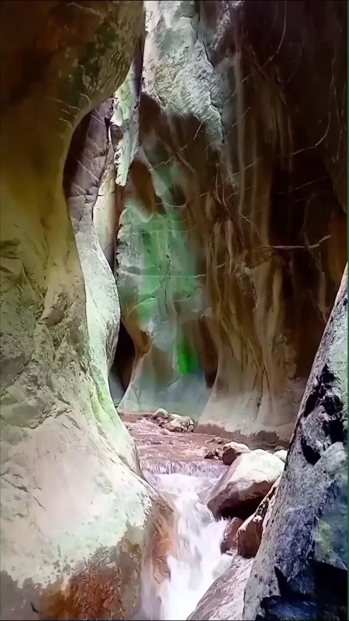 فیلم از زیبایی تنگه بکر ارسباران
