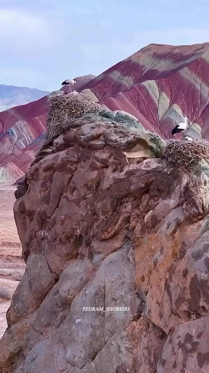 فیلم از قلعه لک لک ها و کوه های رنگی ماهنشان زنجان