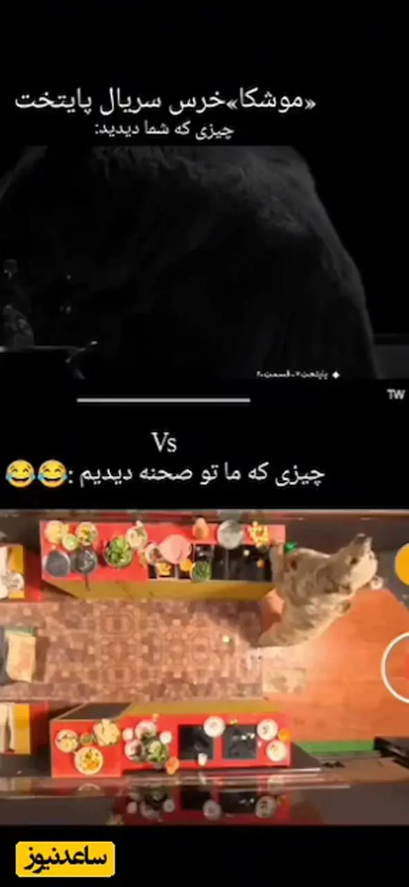 فیلم/ یادی کنیم از پشت صحنه خنده دار سکانس حمله خرس واقعی به کمپر ارسطو/ پنهان شدن عوامل سریال پایتخت در سقف ماشین