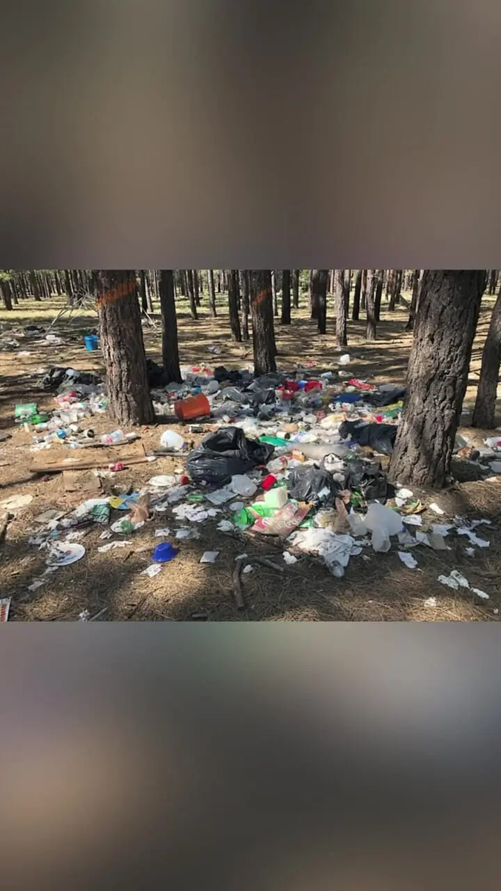 محیط‌زیست و منابع طبیعی پاسخ دهند؛ چرا محیط‌بان و جنگلبان کنار کمپ‌های گردشگری نیستند؟ چه کسی پاسخگوی تخریب طبیعت است؟ + فیلم
