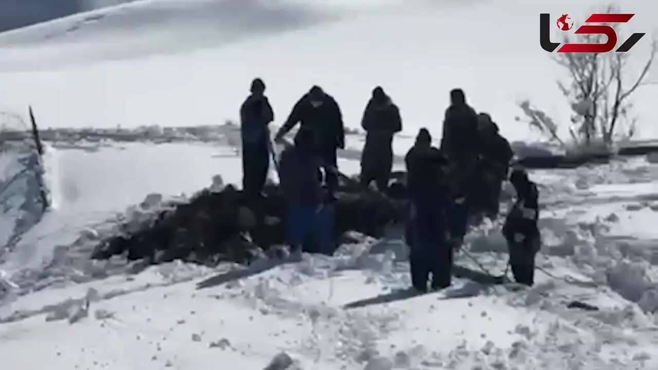 حس خوبِ روشنایی در دل کوهستان / روایت مردانی که ۲۰ روز، زیر برف دو متری سردشت، ایستادند تا تیرهای برق بایستد + فیلم و عکس