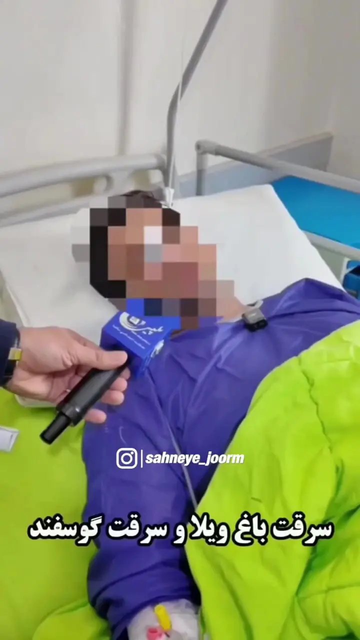  سارقان باغ‌ ویلاها در ملارد به دام افتادند