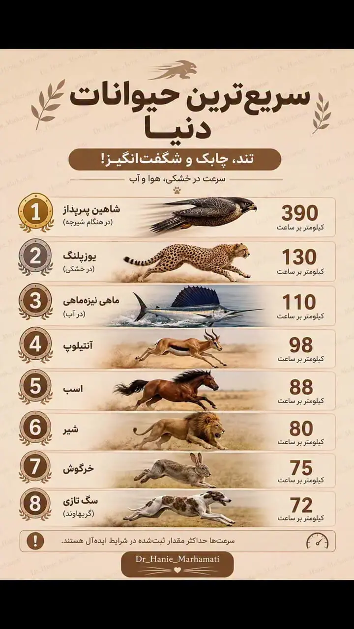 سریع‌ ترین حیوانات دنیا را می‌شناسید؟ + فیلم