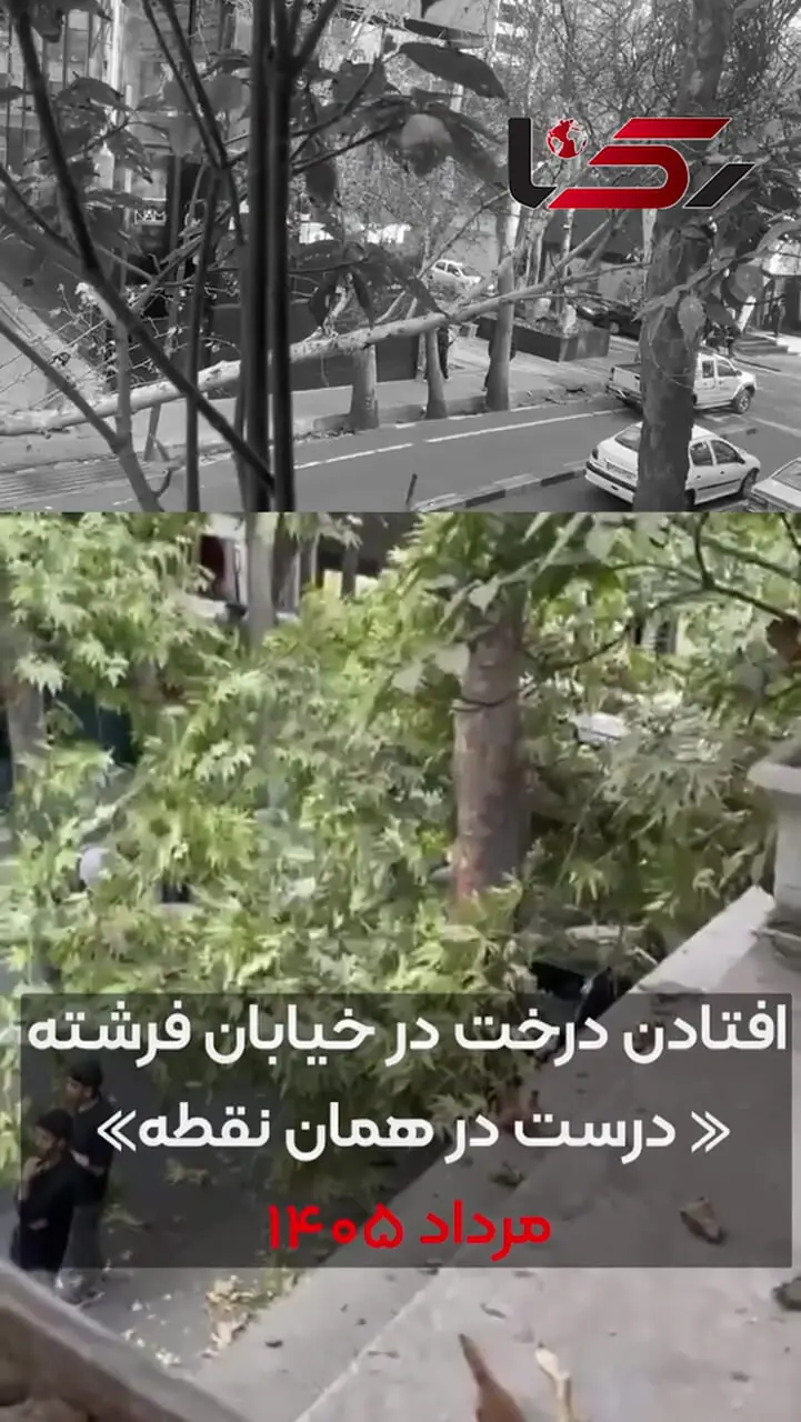 فیلم/ درختان فرشته ایستاده می میرند / وقتی یک حادثه در فاصله چند ماه، دوباره در همان نقطه تکرار می‌شود، دیگر نمی‌توان آن را صرفاً «حادثه» نامید