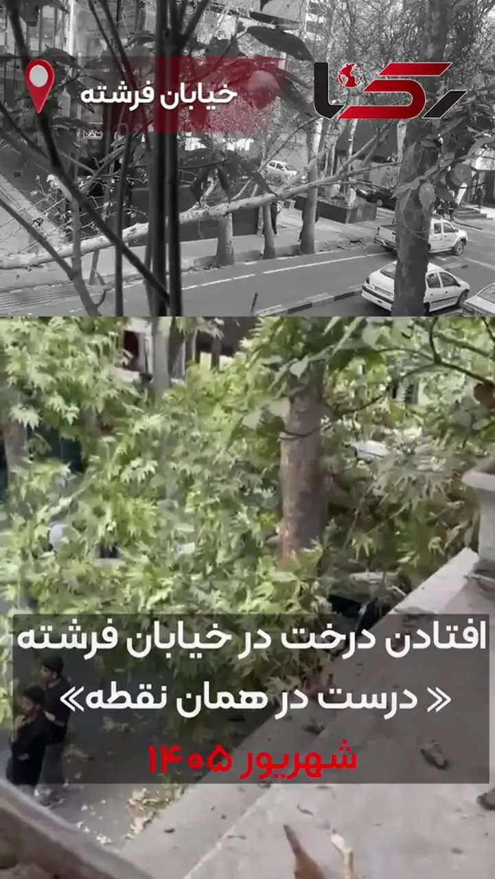 فیلم/ درختان فرشته ایستاده می میرند / وقتی یک حادثه در فاصله چند ماه، دوباره در همان نقطه تکرار می‌شود، دیگر نمی‌توان آن را صرفاً «حادثه» نامید