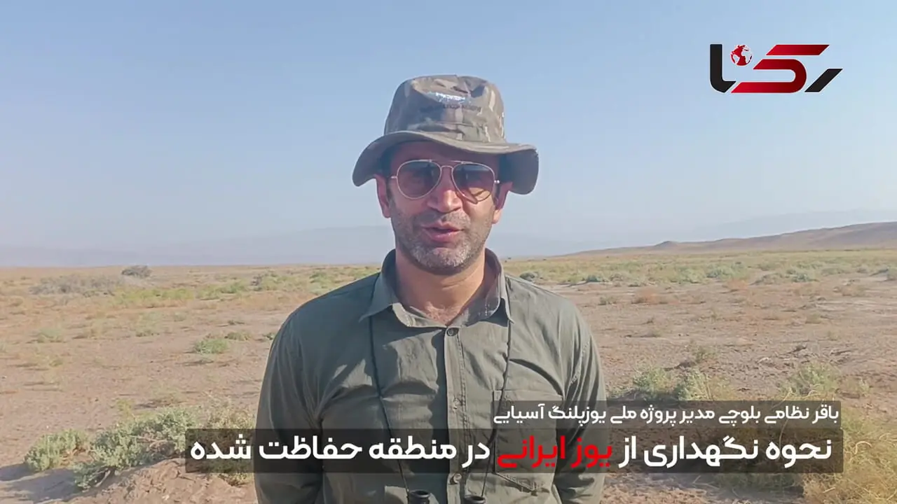 وزارت راه متهم اصلی در قتلگاه یوزها/ انقراض یوزپلنگ آسیایی پشت چراغ قرمز اعتبارات ملی + فیلم