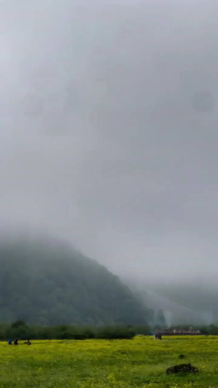 فیلم از زیبایی دشت زیبای دریاسر مازندران