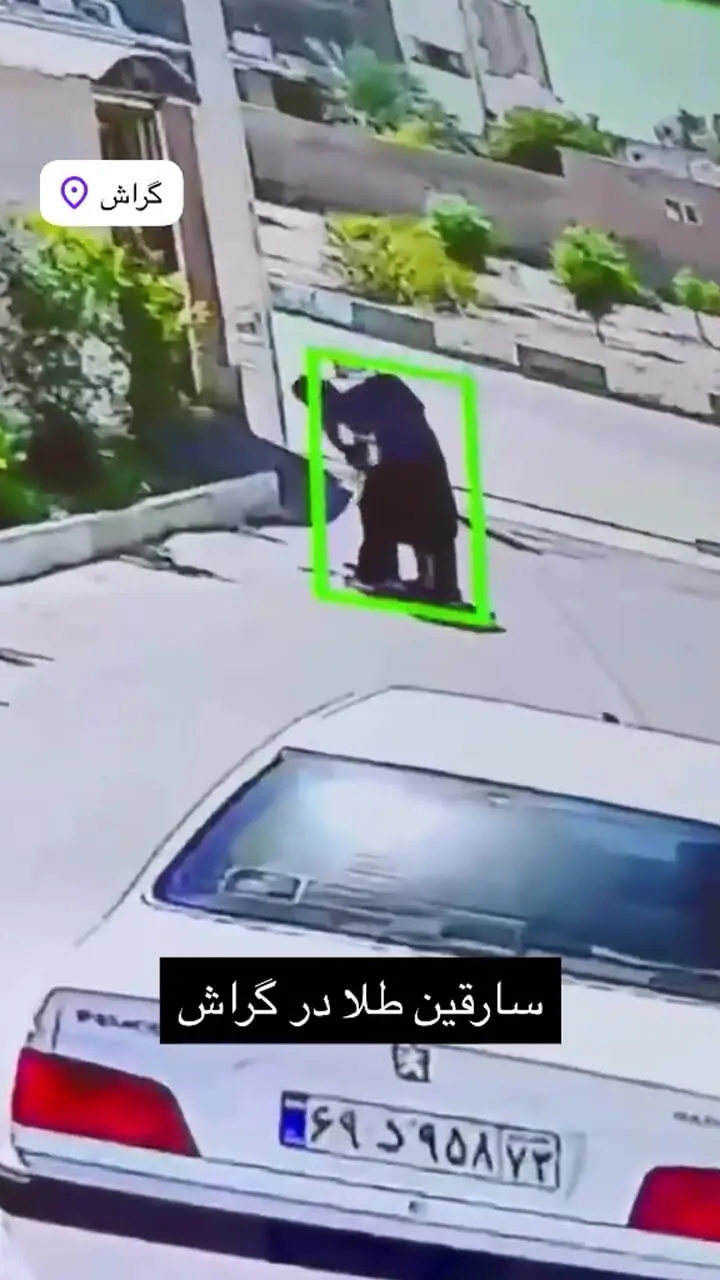 فیلم لحظه حمله 2 موتورسوار به یک زن در داراب/طلاهایش را به سرقت بردند
