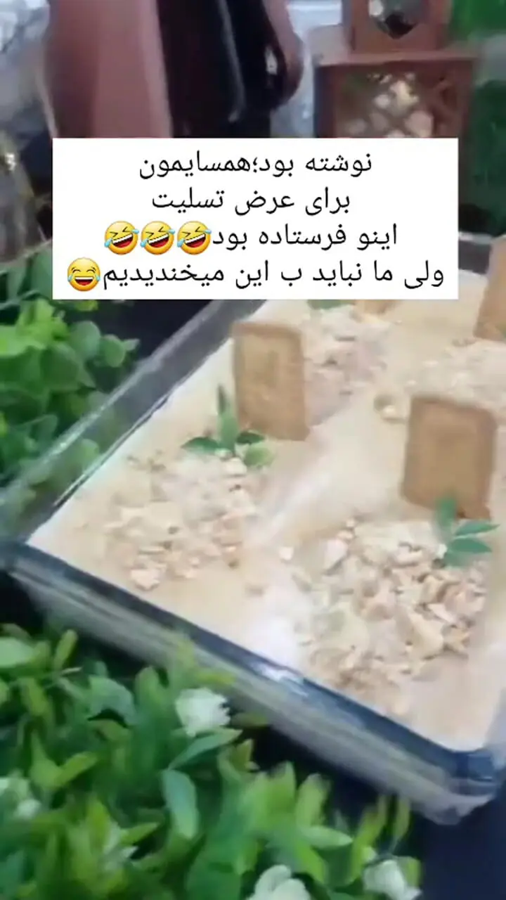 فیلم/ خلاقیت خنده دار مادر ایرانی برای عرض تسلیت به همسایه حماسه آفرید/هنر نزد ایرانیان است و بس!