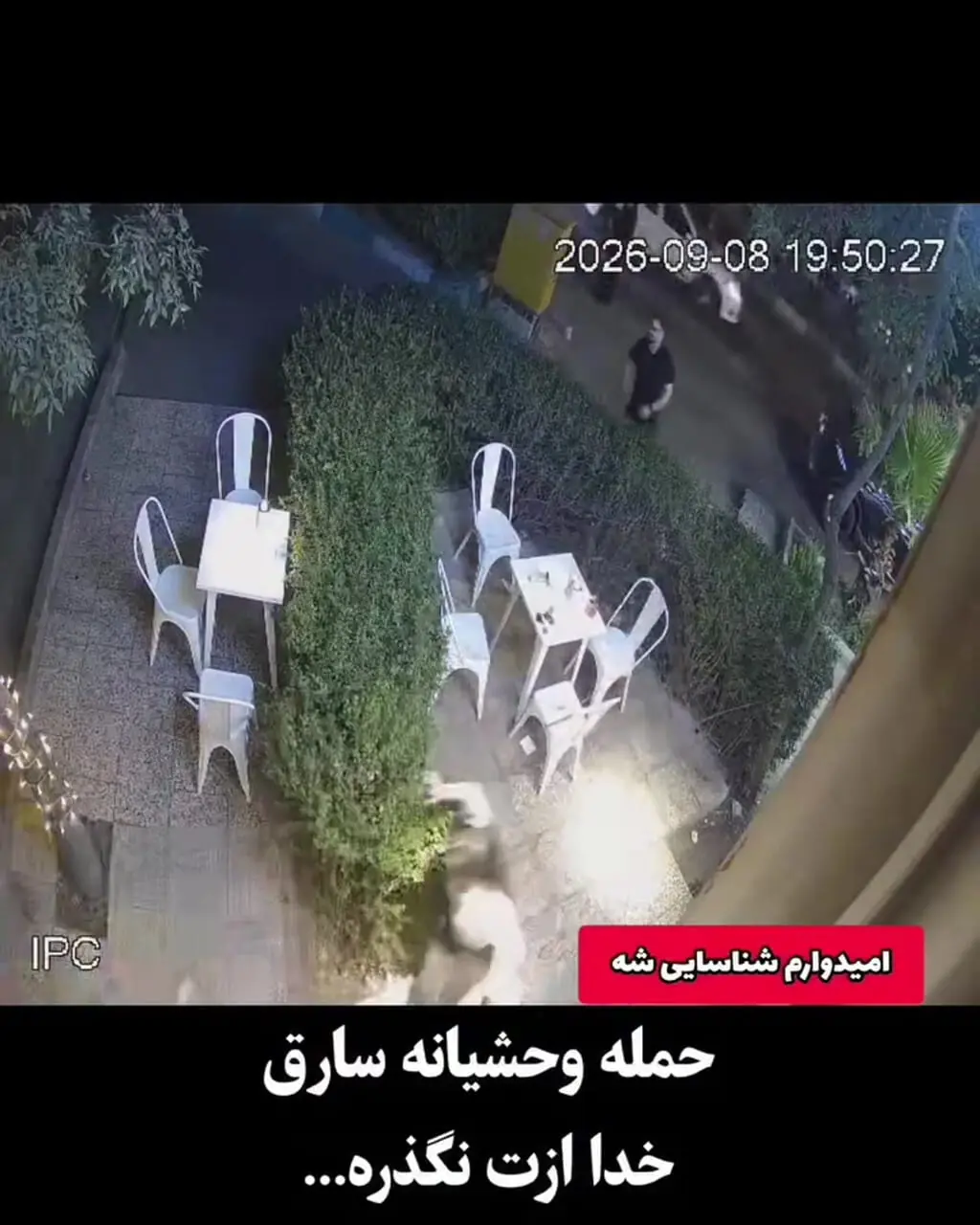 فیلم / این موبایل قاپ را می شناسید ؟! / لحظه حمله وحشیانه سارق به زن جوان  