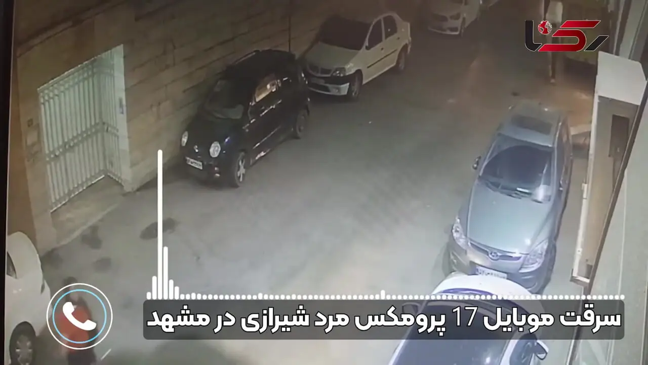فیلم لحظه سرقت گوشی آیفون یک مرد مقابل چشم همسرش + گفتگو