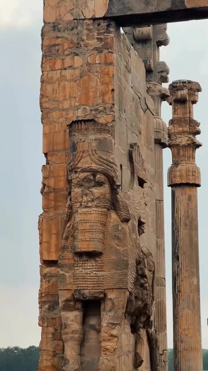 فیلم از زیبایی و شکوه تخت جمشید