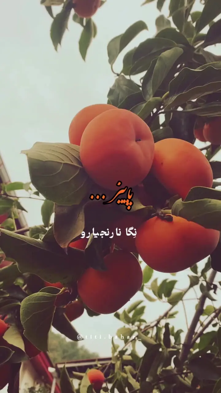 تعبیر فال آی چینگ اول مهر ماه