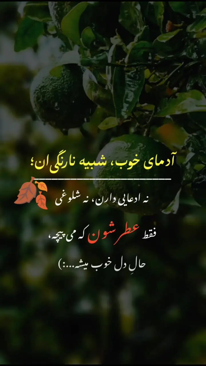 فال قهوه امروز 6 مهر ماه